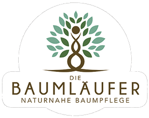 Die Baumläufer | Baumpflege, Baumfällung | Bayerischer Wald